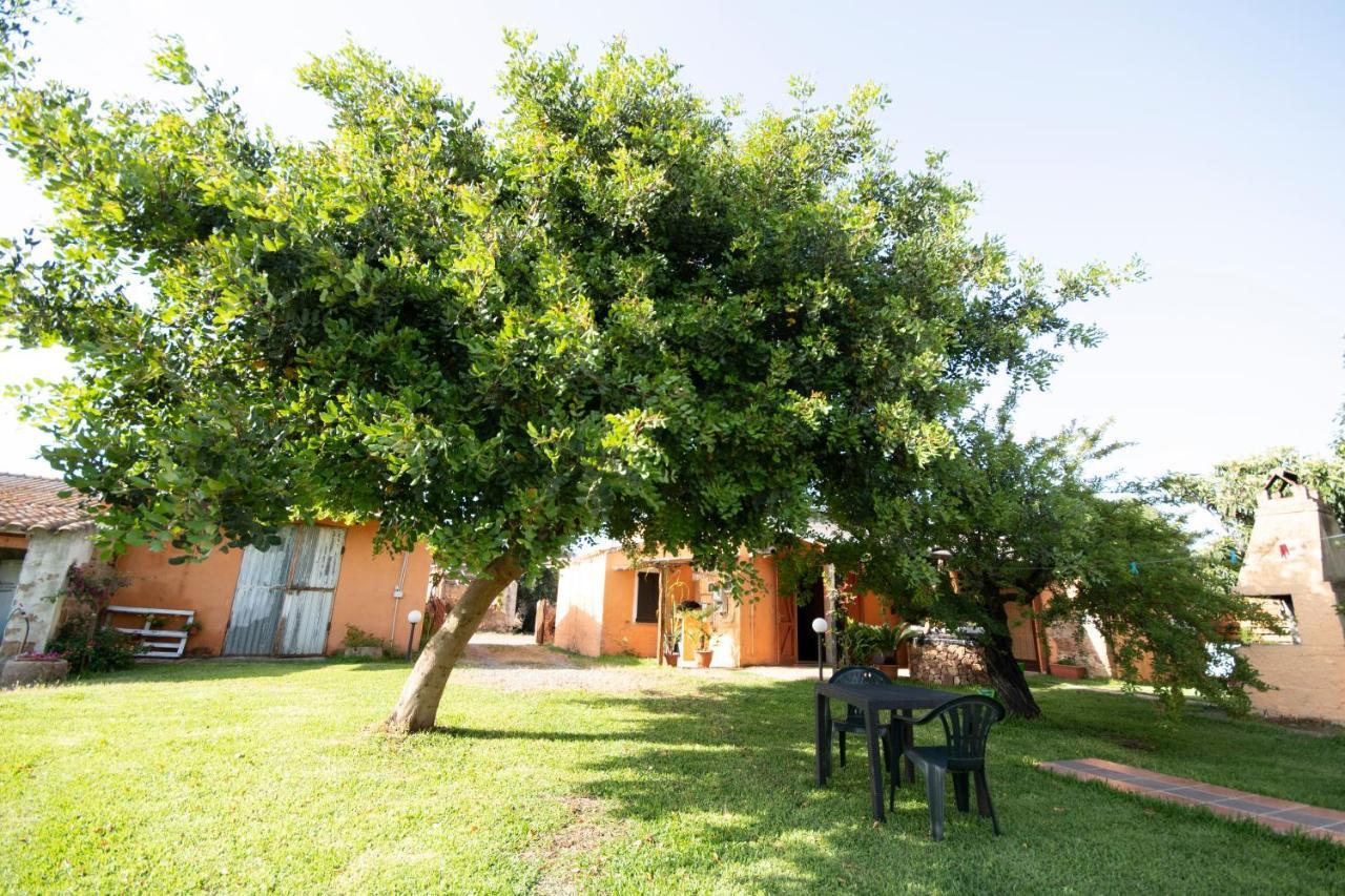Is Cuccus Bed & Breakfast Masainas Exterior foto